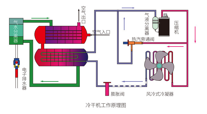 1698995743127580.jpg 3.jpg